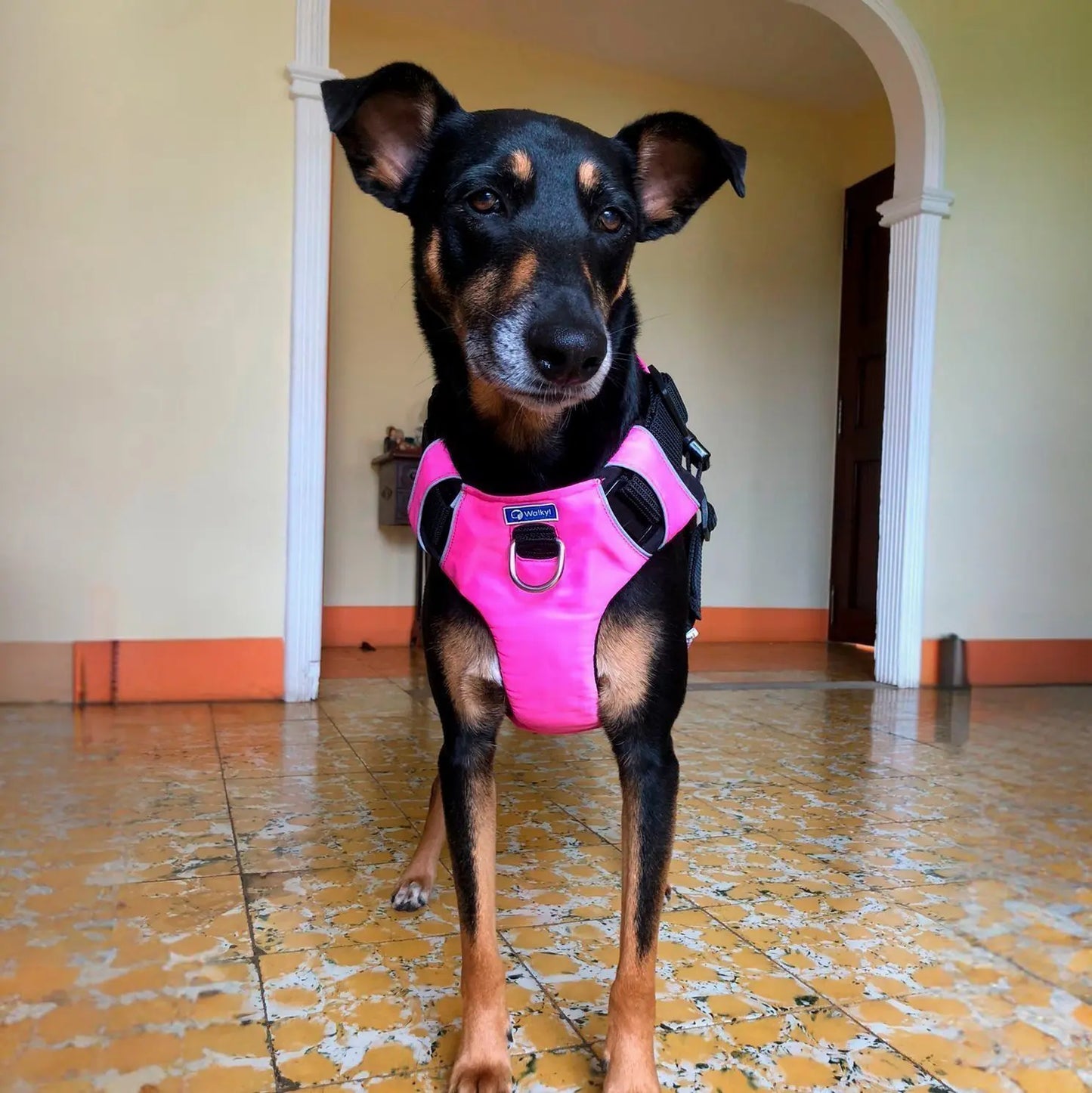 Pechera Personalizada Fucsia 2.0