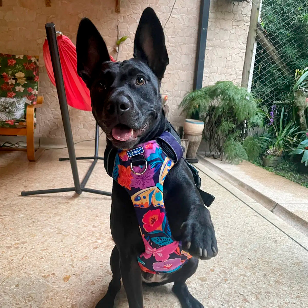 Pechera Personalizada Mariposas 2.0