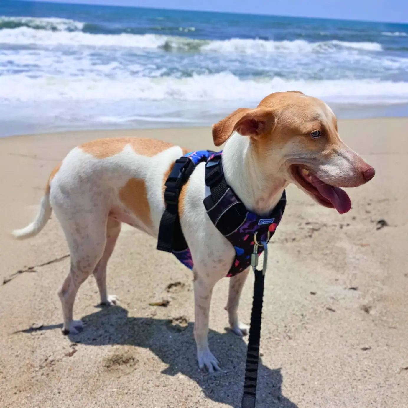 Kit Protección Plus Planetas