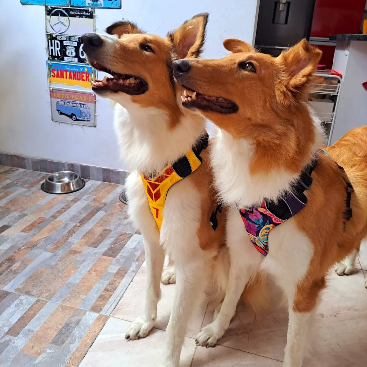 Pechera Personalizada Selección Colombia 2.0