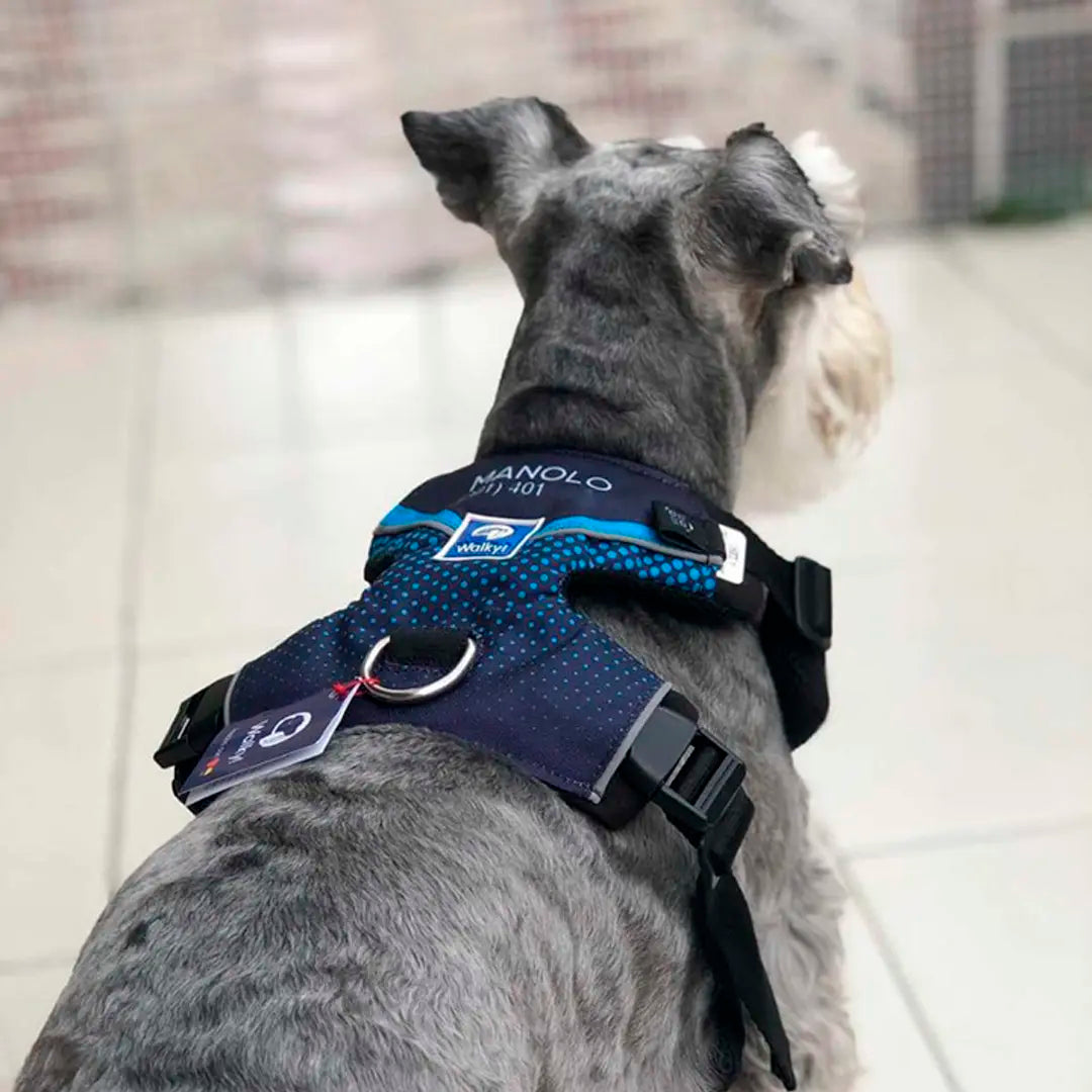 Pechera Personalizada Azul/Azul 2.0