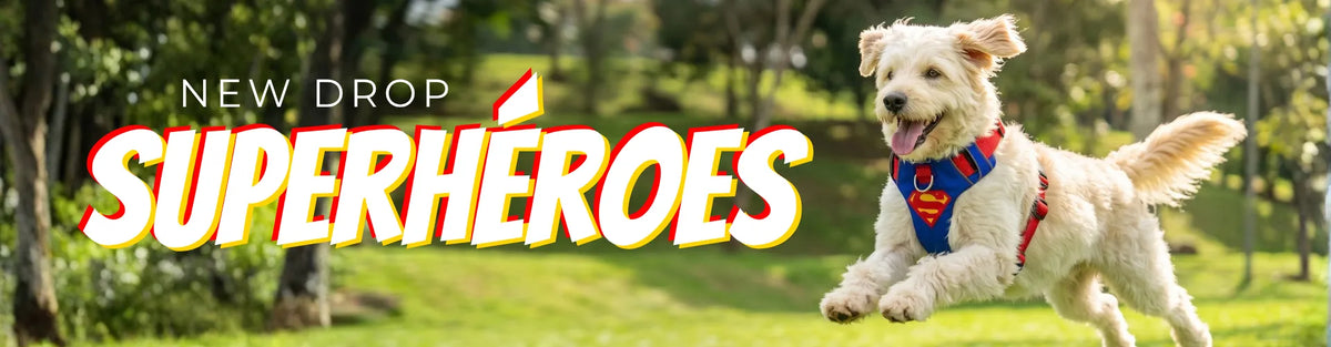 Superhéroes