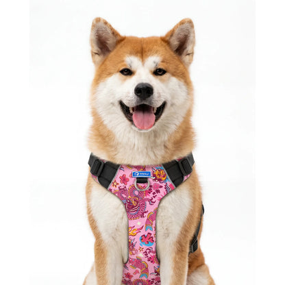 Kit Protección Plus Pink Yōkai
