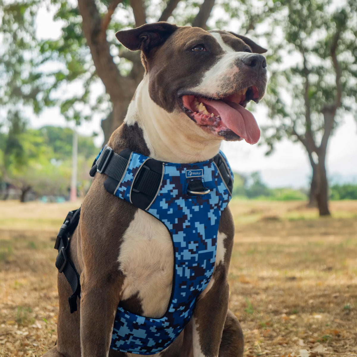 Kit Protección Plus Camo Navy
