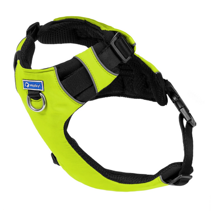 Pechera Personalizada Limón Neón 2.0