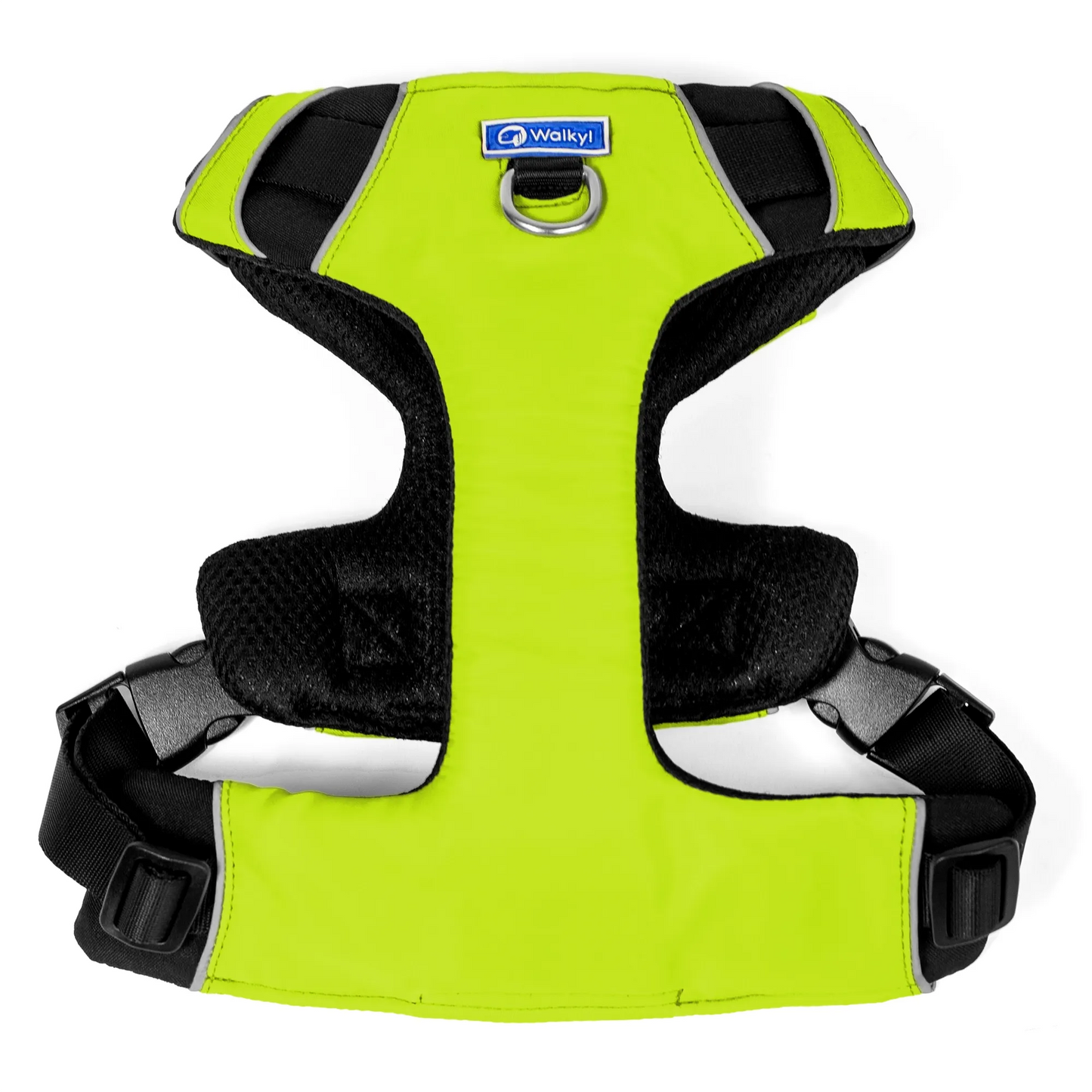 Kit de Aventura Limón Neón