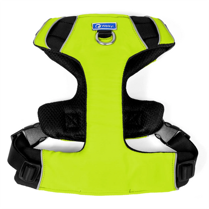 Kit de Aventura Limón Neón