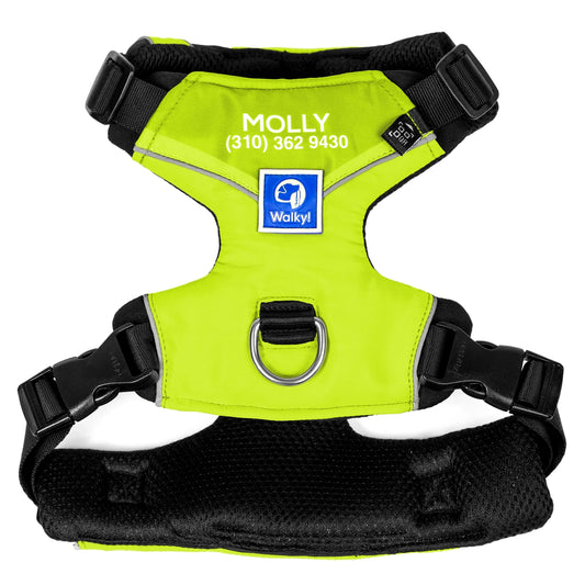 Pechera Personalizada Limón Neón 2.0