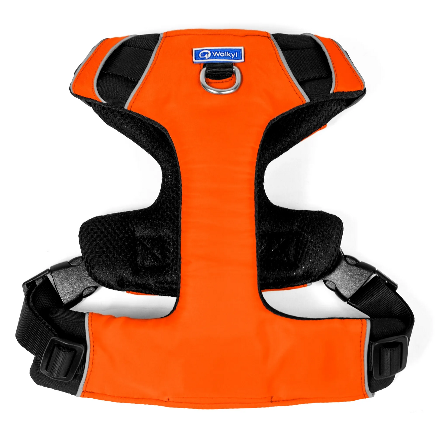 Kit de Aventura Naranja Neón
