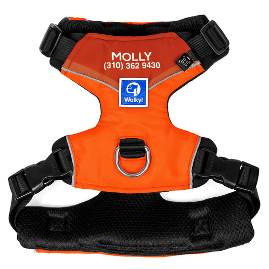Pechera Personalizada Naranja Neón 2.0