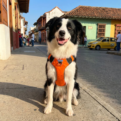 Pechera Personalizada Naranja Neón 2.0