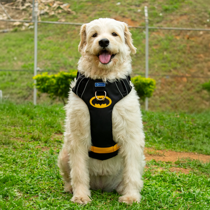 Pechera Antitirones Batman