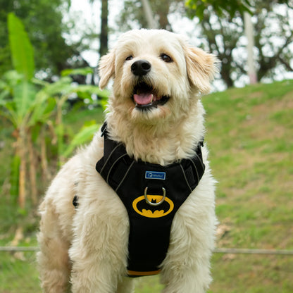 Pechera Antitirones Batman