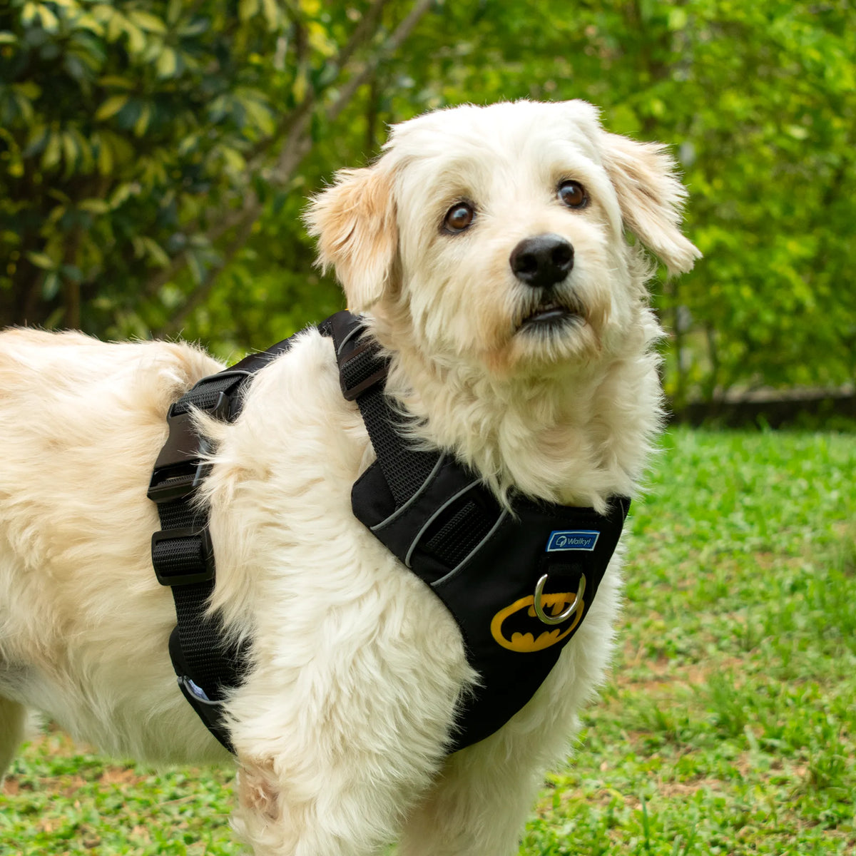 Pechera Antitirones Batman