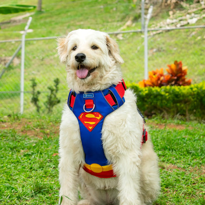 Pechera Antitirones Superman