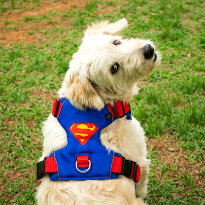 Pechera Antitirones Superman