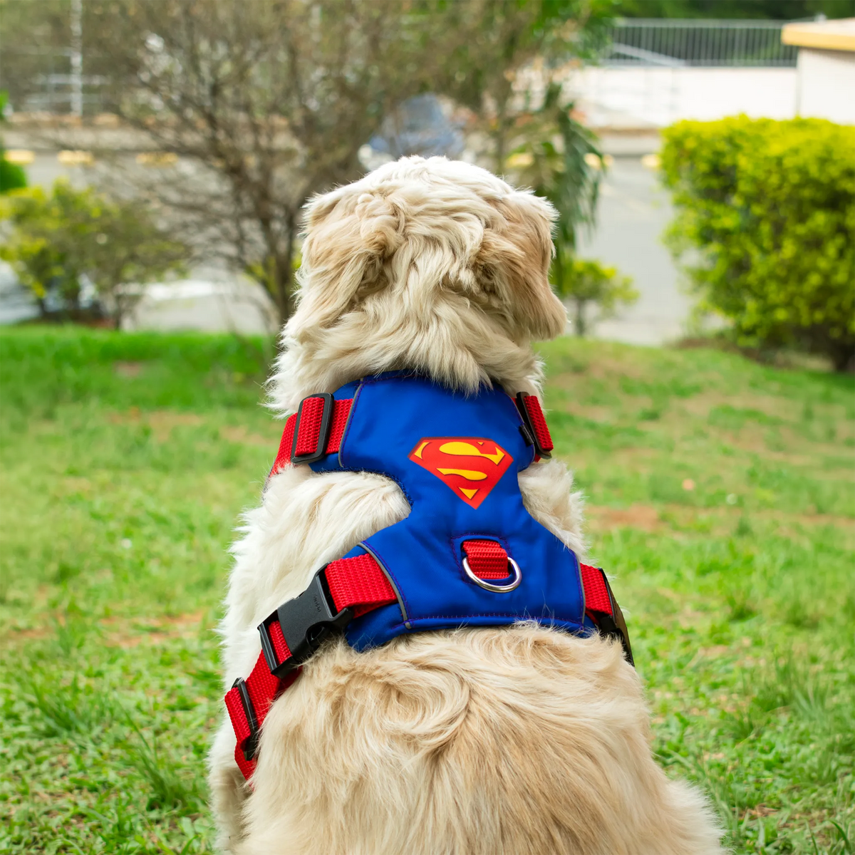 Pechera Antitirones Superman