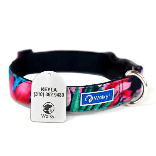 Kit de identificación Flores