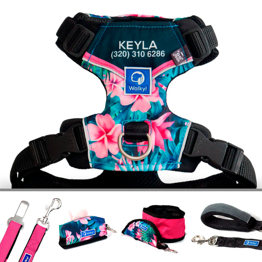 Kit de Aventura Flores