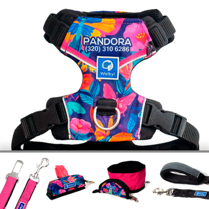 Kit de Aventura Mariposas