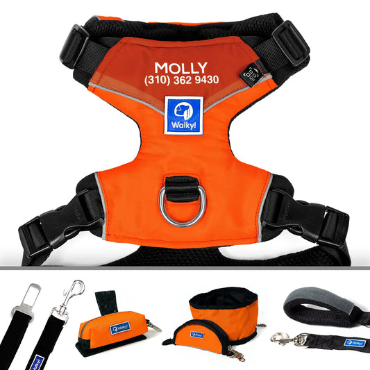Kit de Aventura Naranja Neón
