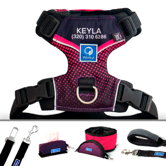 Kit de Aventura Violeta/Fucsia