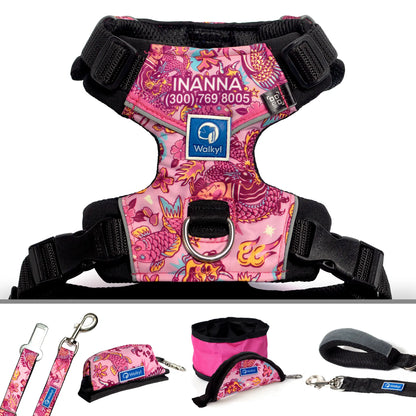 Kit de Aventura Pink Yōkai