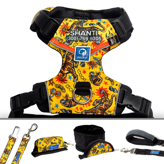 Kit de Aventura Yellow Kōun