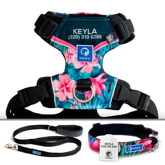 Kit Protección Plus Flores