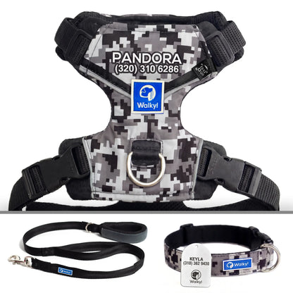 Kit Protección Plus Camo Asphalt