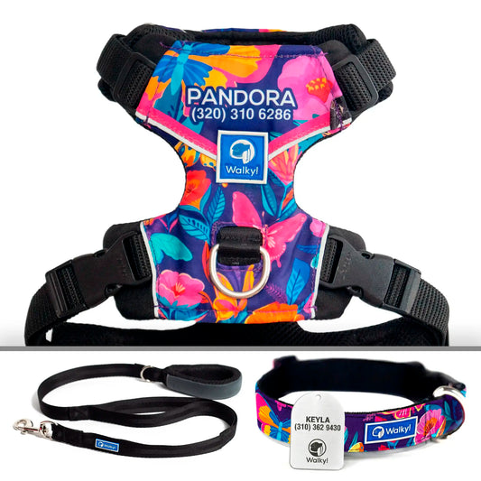 Kit Protección Plus Mariposas