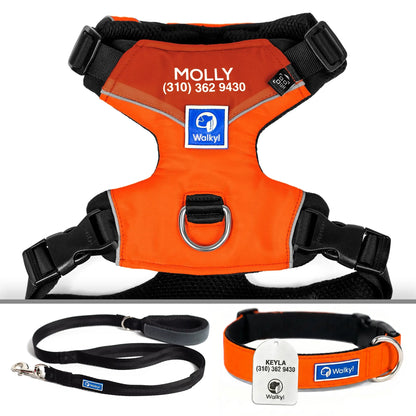 Kit Protección Plus Naranja Neón
