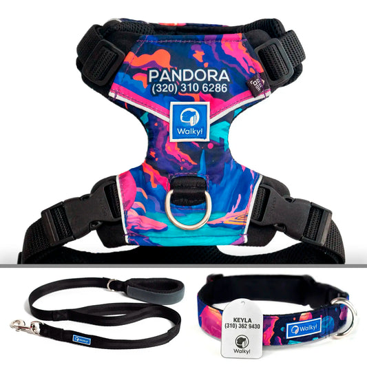 Kit Protección Plus Planetas