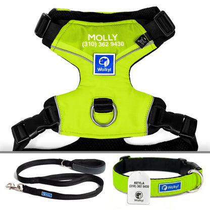 Kit Protección Plus Limón Neón